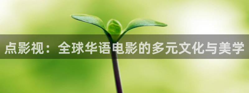 免费电影蜜桃成熟时：点影视：全球华语电影的多元文化与美学