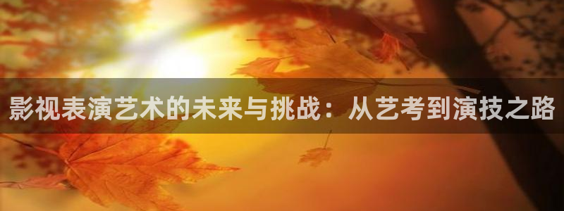 水蜜桃水蜜桃：影视表演艺术的未来与挑战：从艺考到演技之路