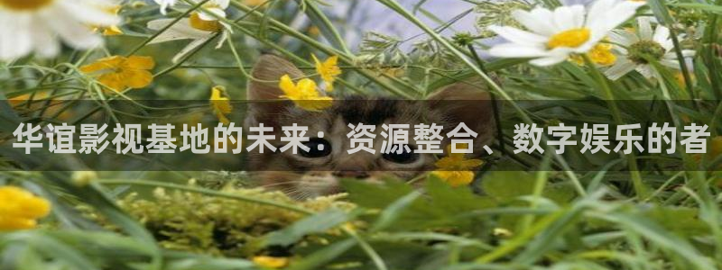 蜜桃影视免费在线：华谊影视基地的未来：资源整合、数字娱乐的者