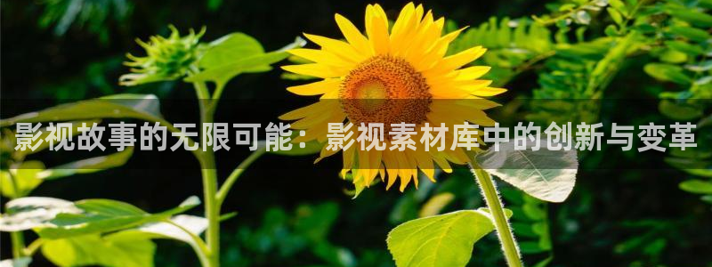 水蜜桃高清免费观看