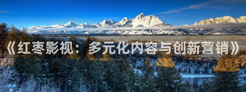 美国电影成熟的水蜜桃：《红枣影视：多元化内容与创新营销》