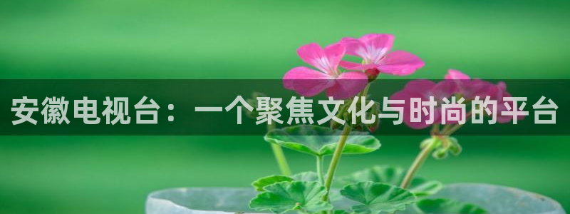 美国电影小蜜桃2