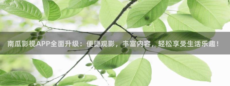 水蜜桃视频www